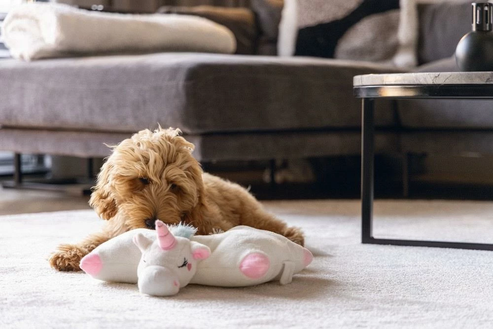 Beeztees Warmteknuffel Voor Pups Mon - Afbeelding 3