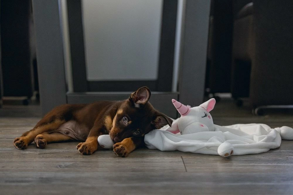 Beeztees Puppy Knuffeldoek Unicorn M - Afbeelding 3