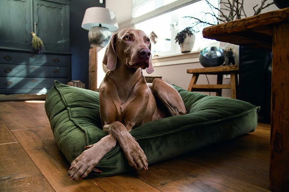 Designed By Lotte Ligkussen Nalino Groen - Afbeelding 2