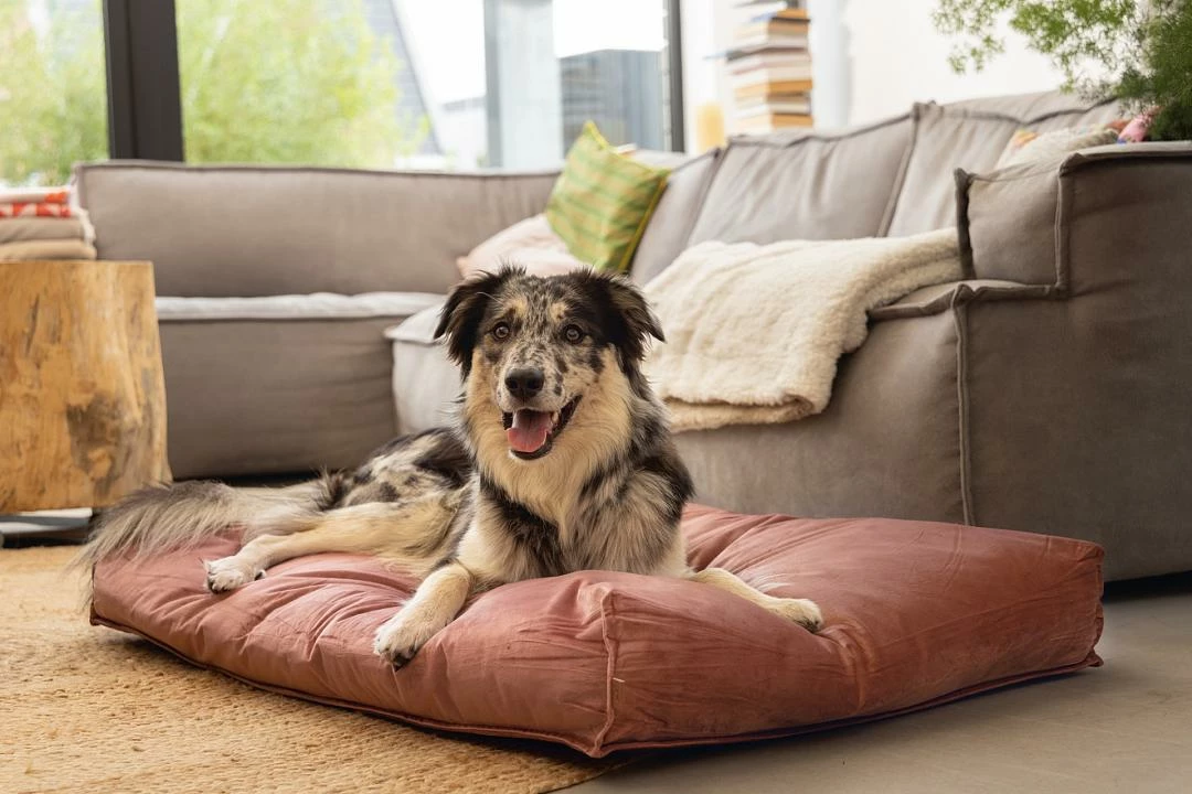 Designed By Lotte Ligkussen Nalino Roze - Afbeelding 2