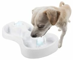 All For Paws Chill Out Ice Track & Thirst Cruncher Ice Balls