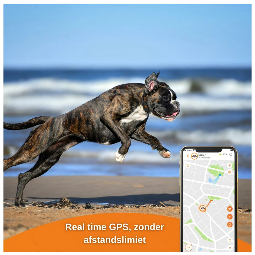 Weenect XS GPS Tracker Dogs Black - Afbeelding 2