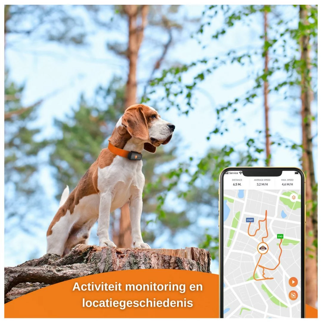 Weenect XS GPS Tracker Dogs Black - Afbeelding 3
