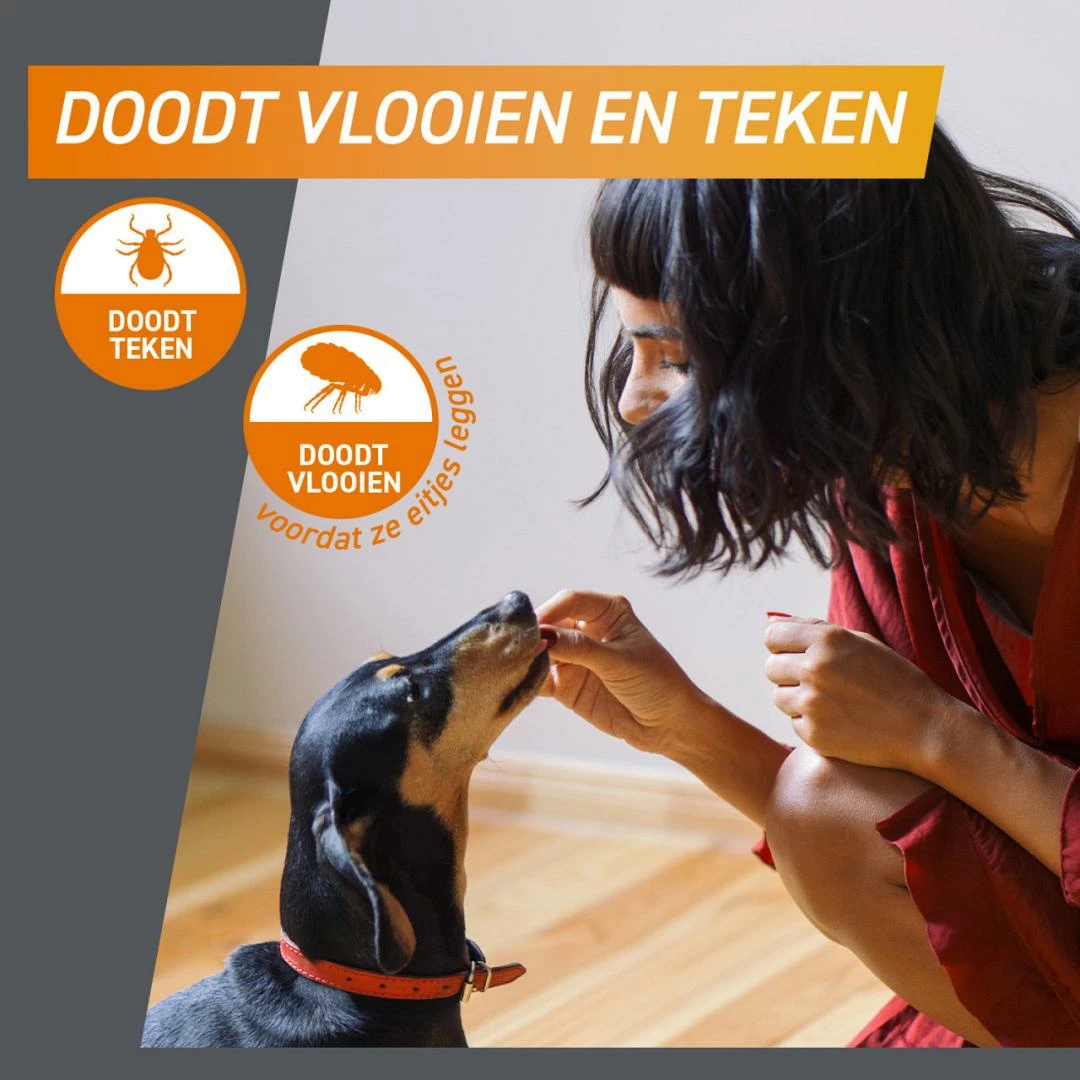 FRONTPRO Kauwtabletten Hond XL 3 St - Afbeelding 2