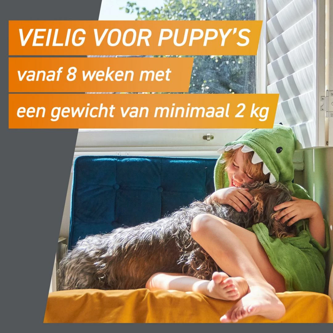 FRONTPRO Kauwtabletten Hond XL 3 St - Afbeelding 3