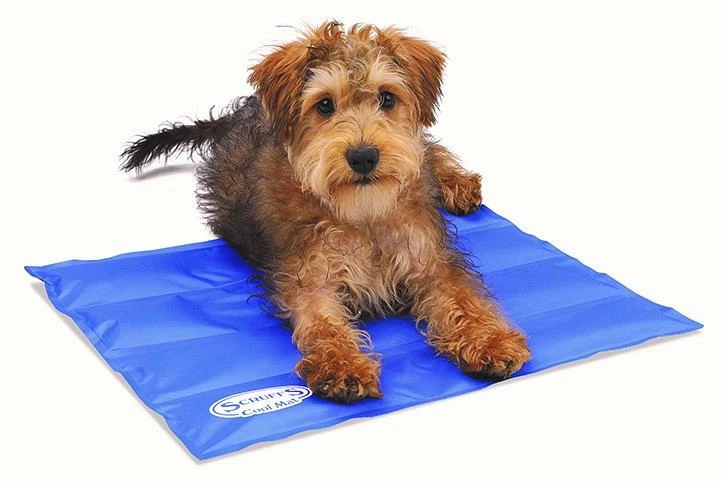 Scruffs Cooling Mat Blue