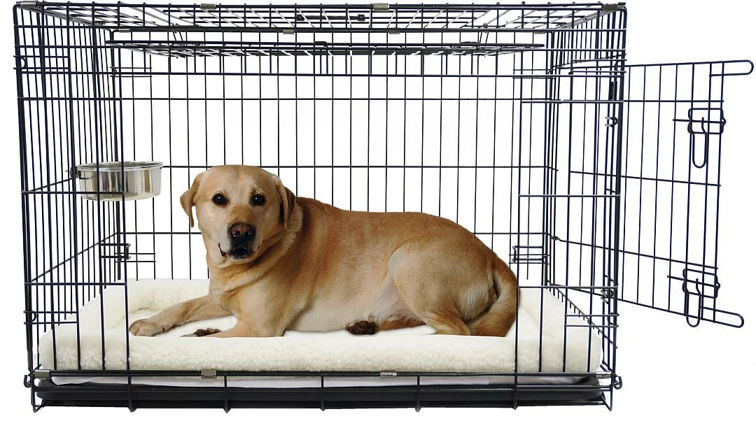 Boon Premium Hondenbench Met Deur En Schuifdeur Zwart - Afbeelding 2