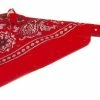Boon Halsband Met Zakdoek Rood
