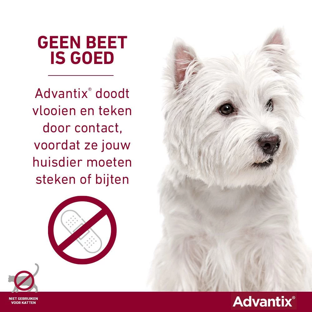 Advantix 600 6 Pipetten - Afbeelding 4