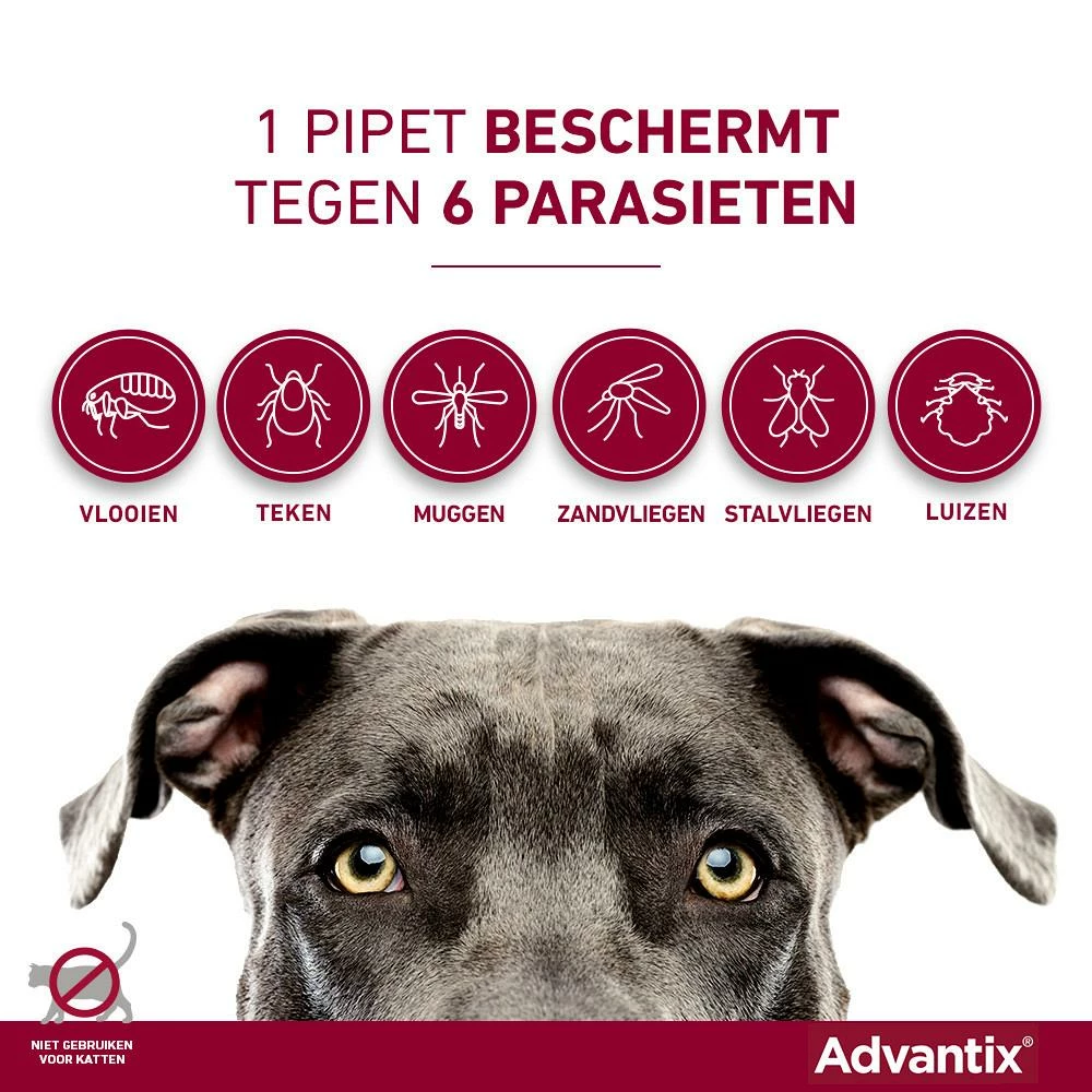 Advantix 400 4 Pipetten - Afbeelding 3