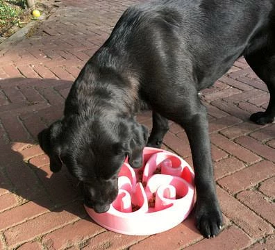 Eat Slow Live Longer Voerbak Original Pink - Afbeelding 4