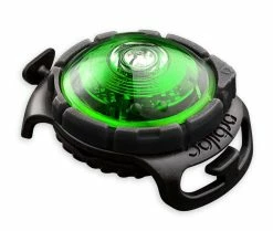 Orbiloc Safety Light Dog Dual Groen