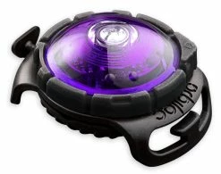 Orbiloc Safety Light Dog Dual Paars