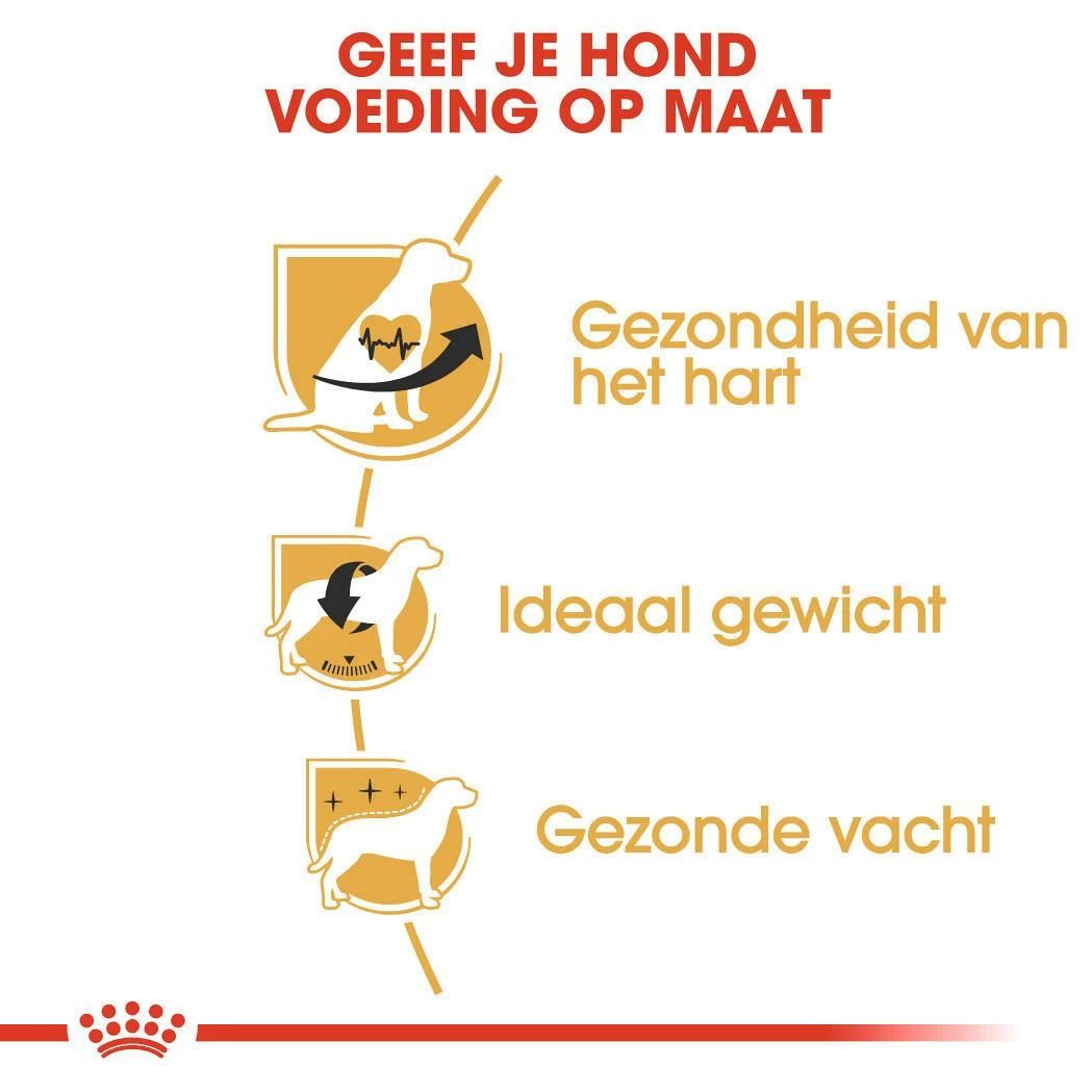 Royal Canin Hondenvoer Cavalier King Charles Adult 7,5 Kg - Afbeelding 3