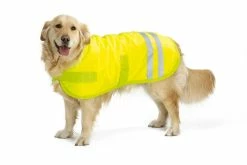 Beeztees Reflecterende Hondenjas