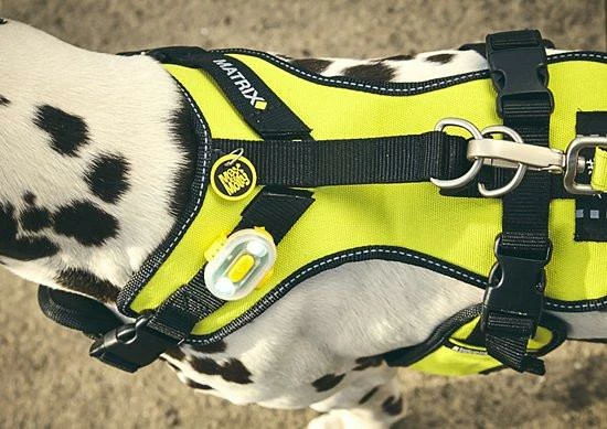 Max & Molly Urban Pets Max & Molly Veiligheidslampje Matrix Ultra LED Roze - Afbeelding 3