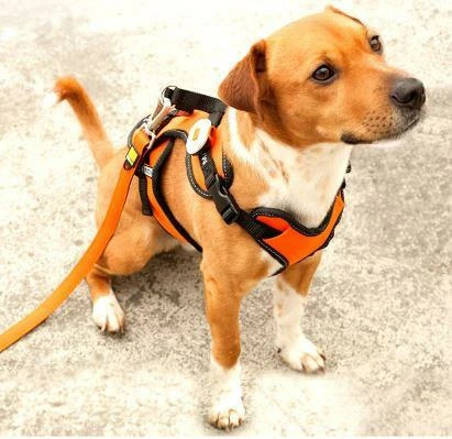 Max & Molly Urban Pets Max & Molly Veiligheidslampje Matrix Ultra LED Roze - Afbeelding 2