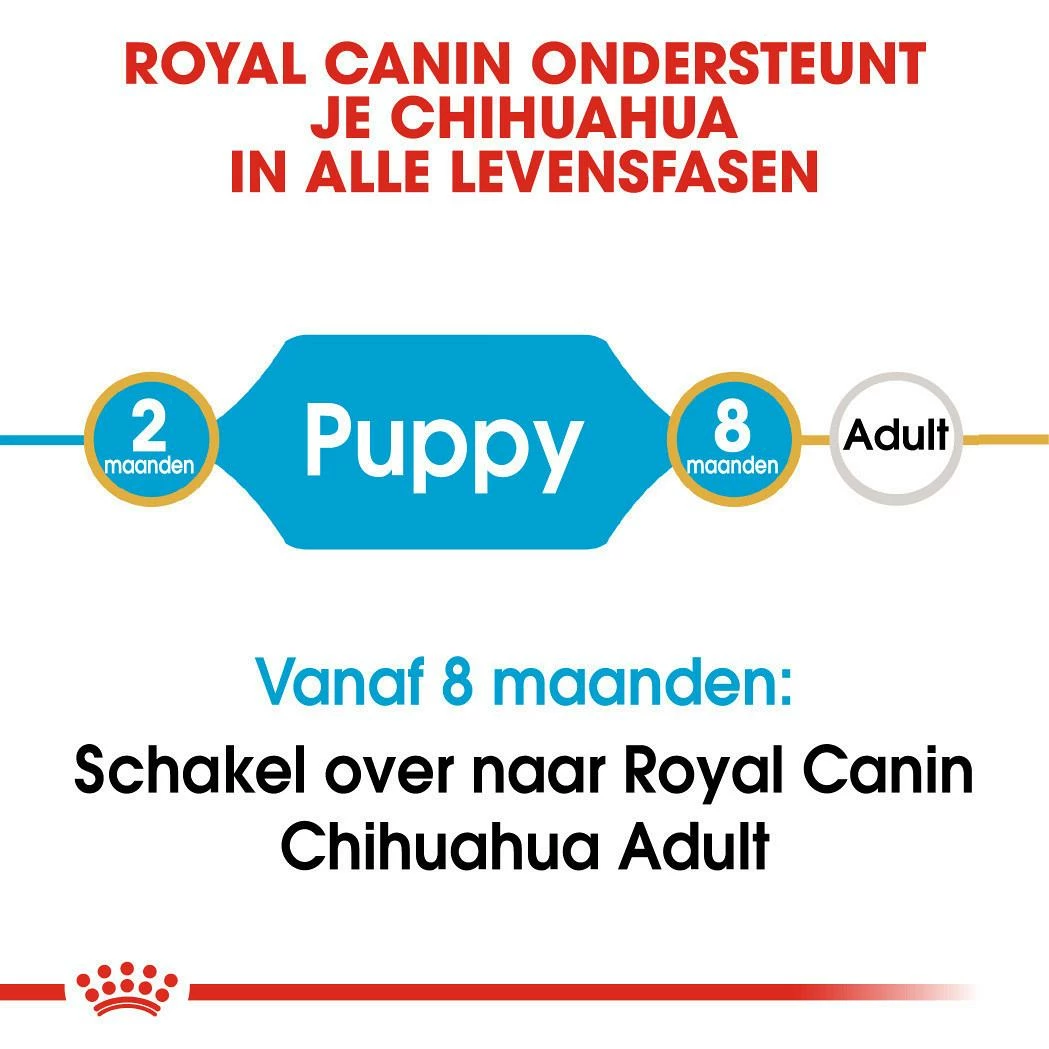 Royal Canin Hondenvoer Chihuahua Puppy 1,5 Kg - Afbeelding 4