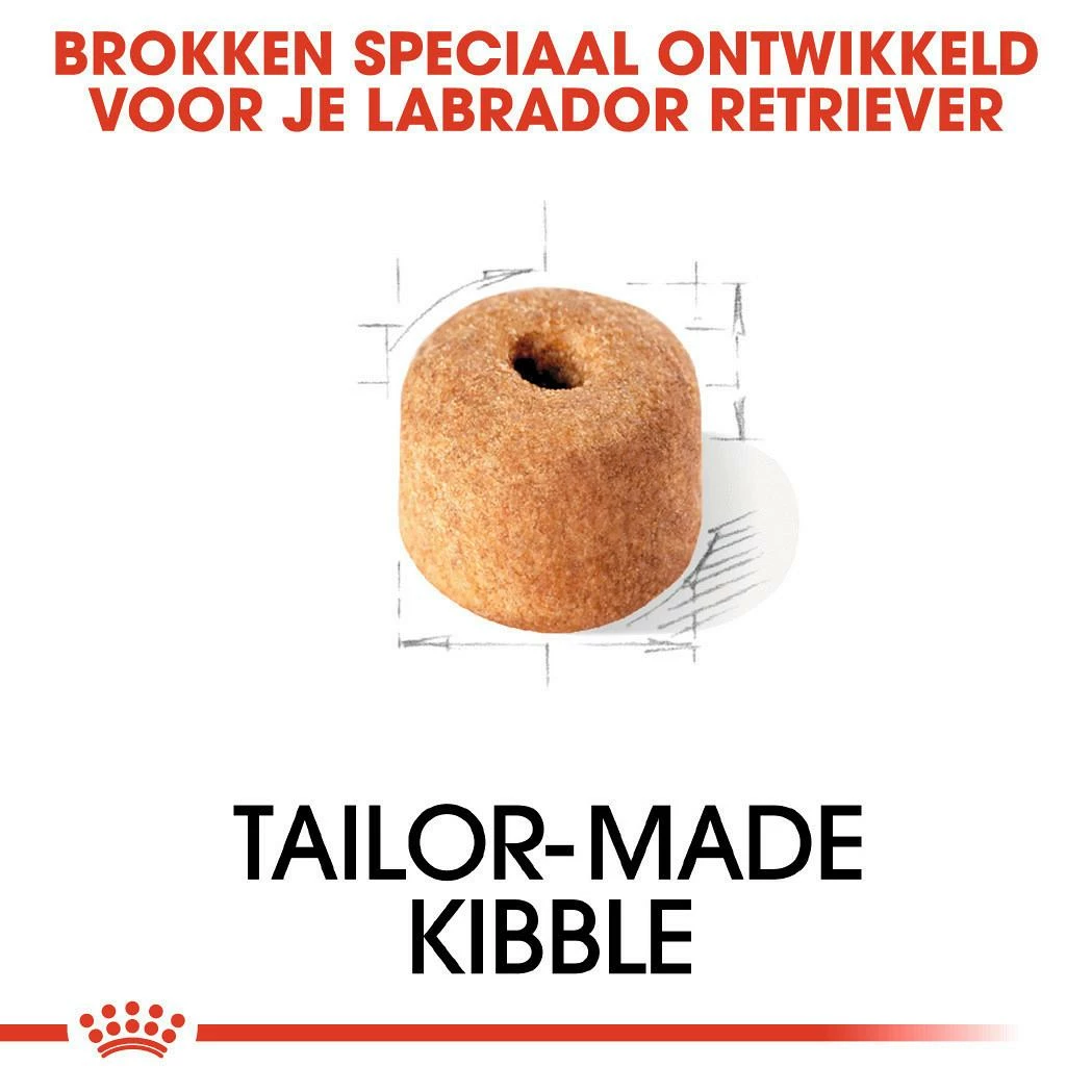 Royal Canin Hondenvoer Labrador Retriever Adult 12 Kg - Afbeelding 2