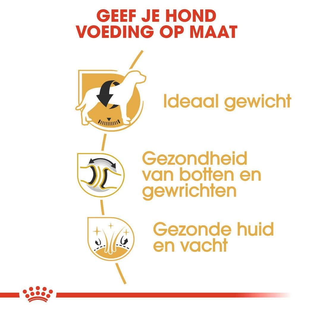 Royal Canin Hondenvoer Labrador Retriever Adult 3 Kg - Afbeelding 3