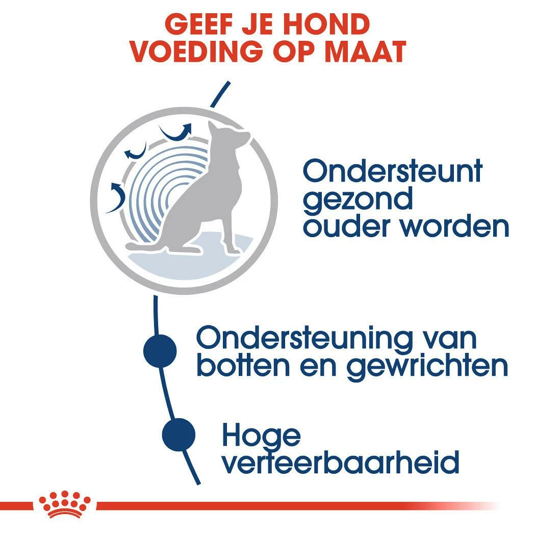 Royal Canin Hondenvoer Maxi Ageing 8+ 10 X 140 Gr - Afbeelding 4