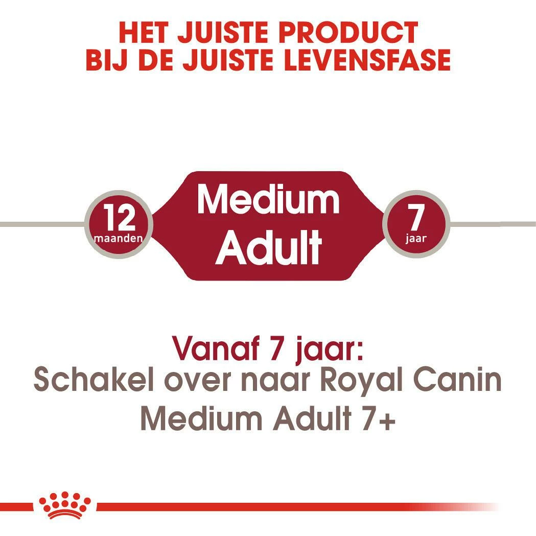 Royal Canin Hondenvoer Medium Adult 4 Kg - Afbeelding 4