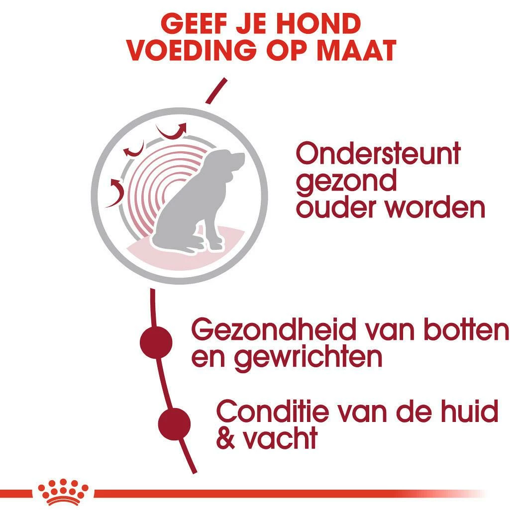 Royal Canin Hondenvoer Medium Ageing 10+ 3 Kg - Afbeelding 3