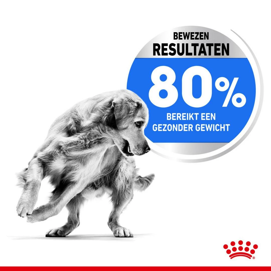 Royal Canin Hondenvoer Light Weight Care Medium 3 Kg - Afbeelding 4