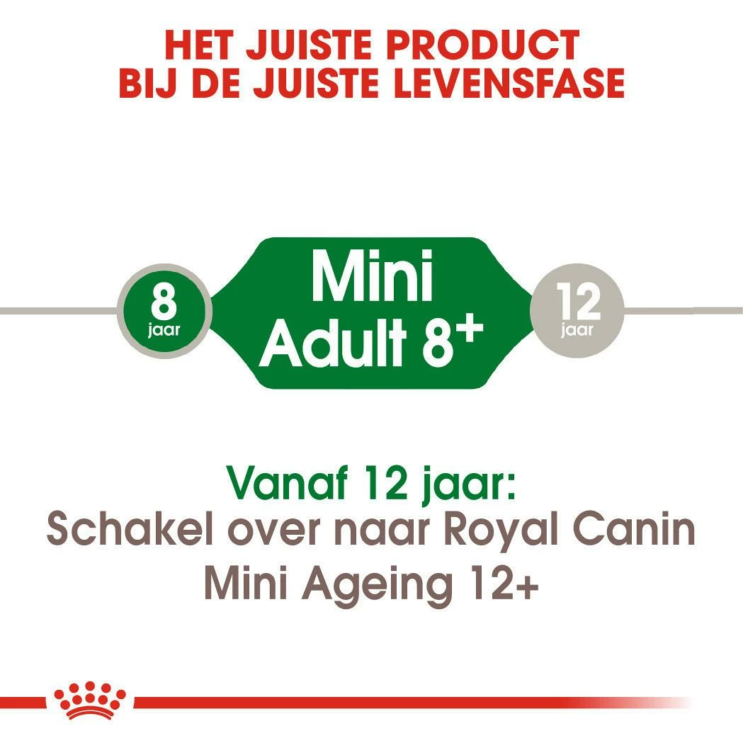 Royal Canin Hondenvoer Mini Adult 8+ 4 Kg - Afbeelding 4