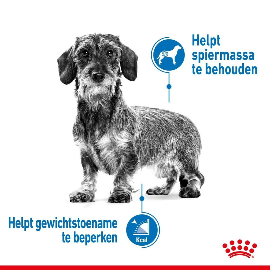 Royal Canin Hondenvoer Light Weight Care Mini 8 Kg - Afbeelding 3