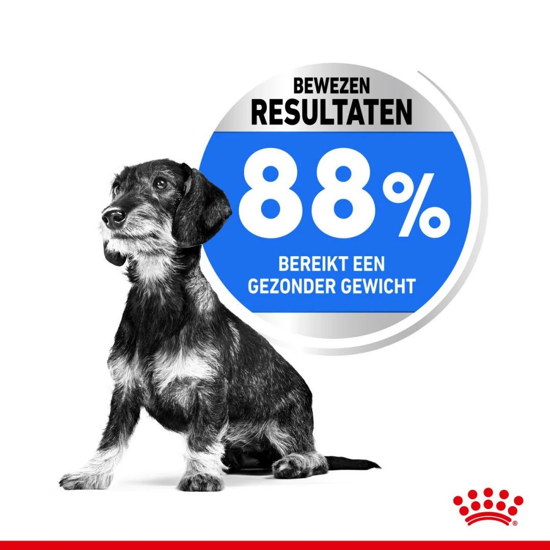 Royal Canin Hondenvoer Light Weight Care Mini 8 Kg - Afbeelding 4